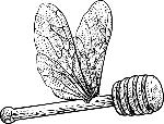 Logo dessiné d'une cuillère à miel avec des ailes