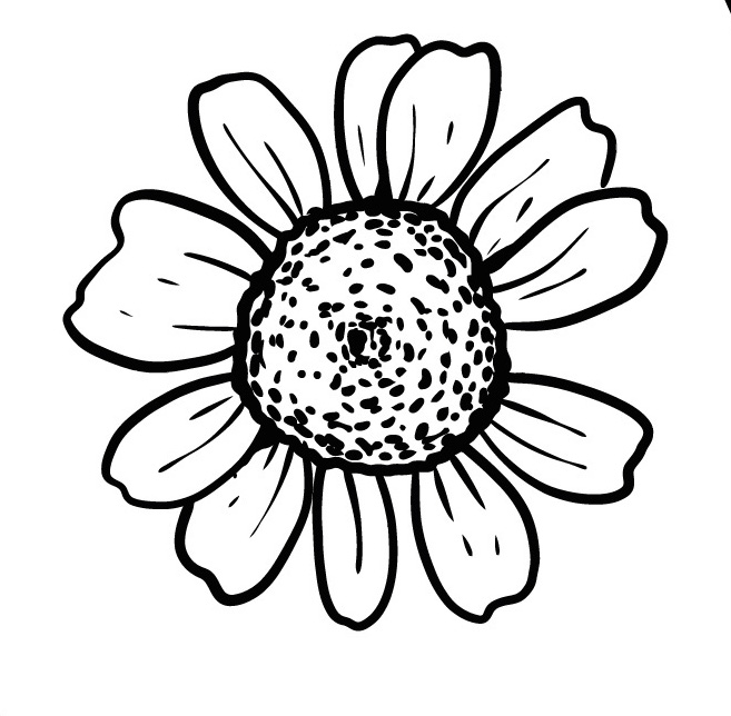 Logo dessiné d'une fleur de tournesol